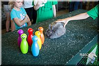 LCFAIR15-7925.jpg