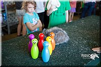 LCFAIR15-7927.jpg