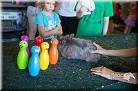 LCFAIR15-7928.jpg