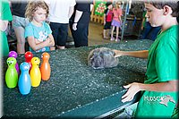 LCFAIR15-7929.jpg