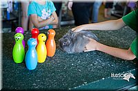 LCFAIR15-7931.jpg