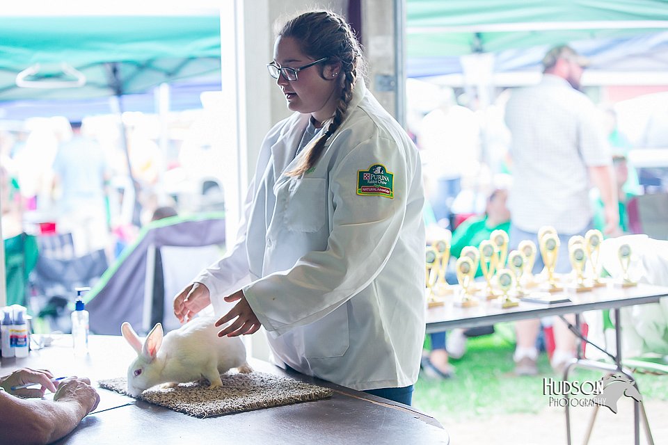 LCFair2016-0099.jpg