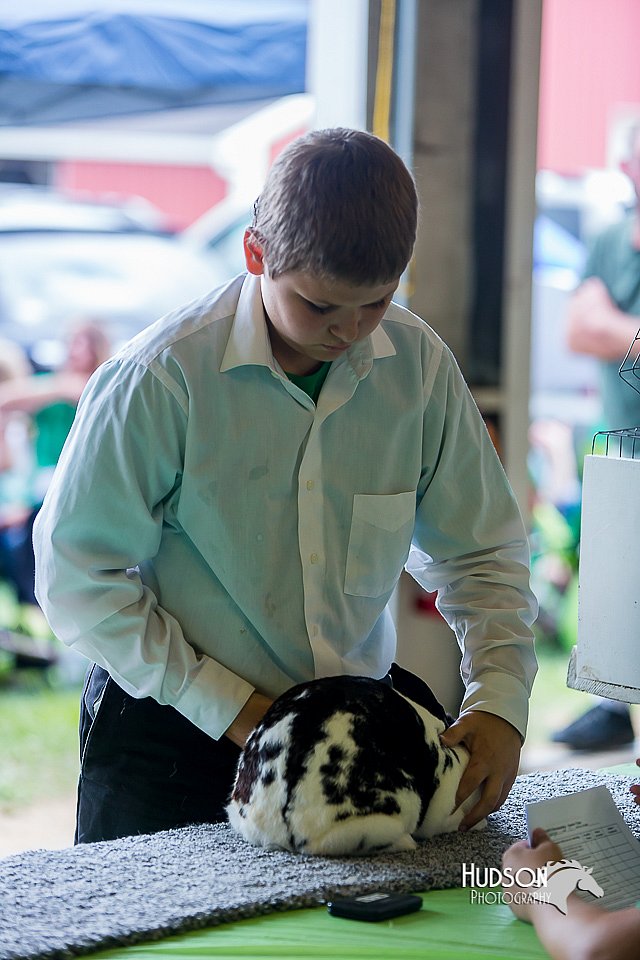 LCFair2016-0112.jpg