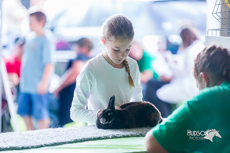LCFair2016-0129.jpg