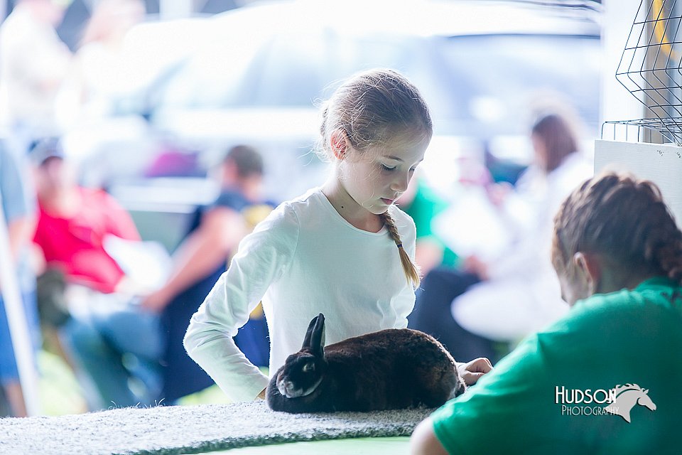 LCFair2016-0131.jpg
