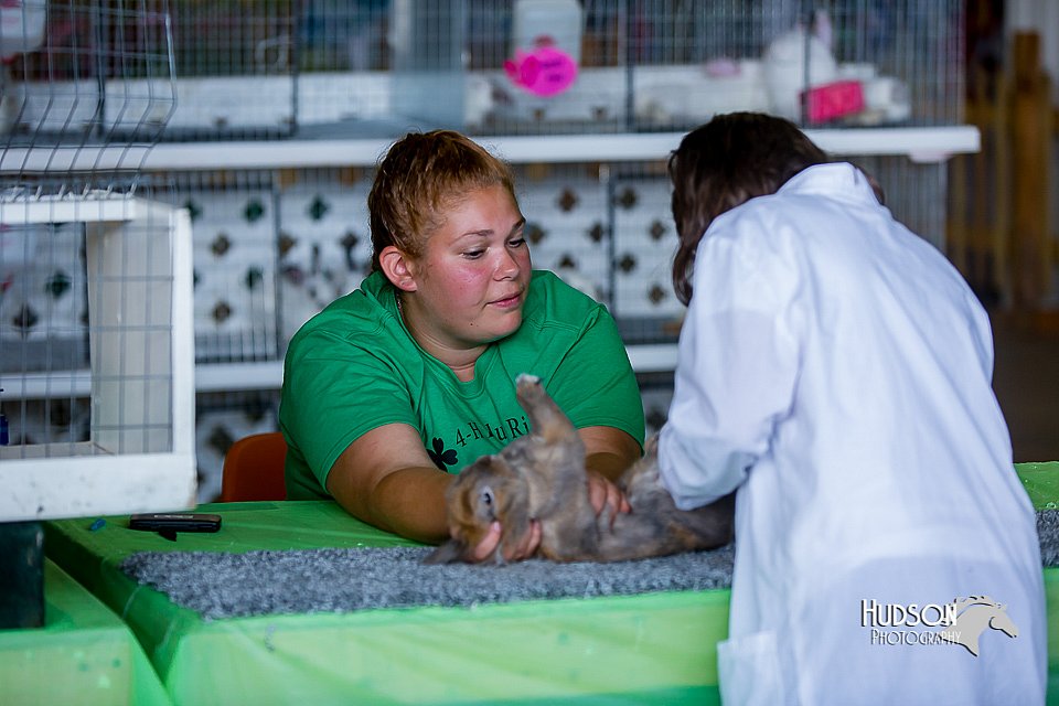 LCFair2016-0222.jpg