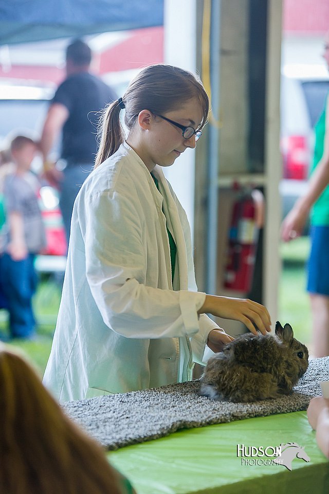 LCFair2016-0235.jpg