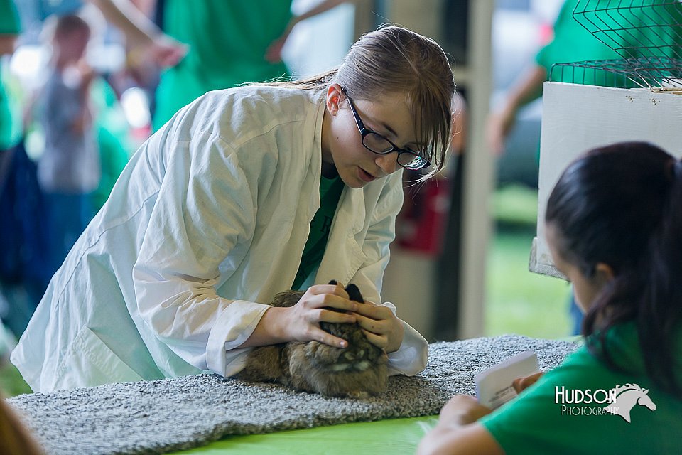 LCFair2016-0240.jpg