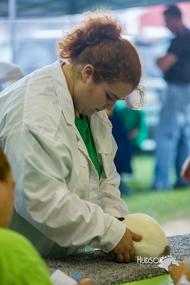 LCFair2016-0241.jpg