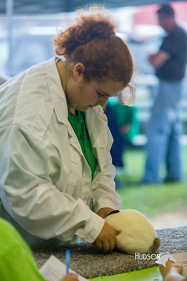 LCFair2016-0242.jpg