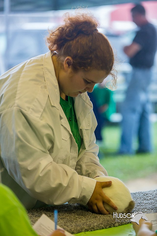 LCFair2016-0243.jpg