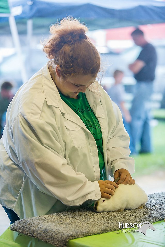 LCFair2016-0245.jpg