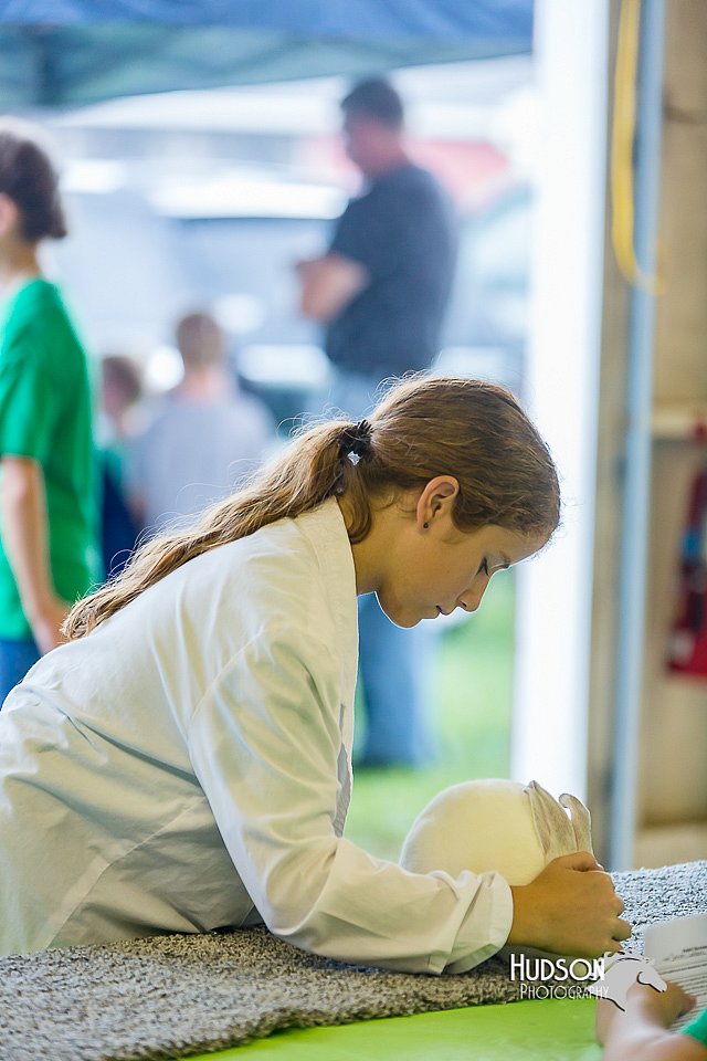 LCFair2016-0249.jpg