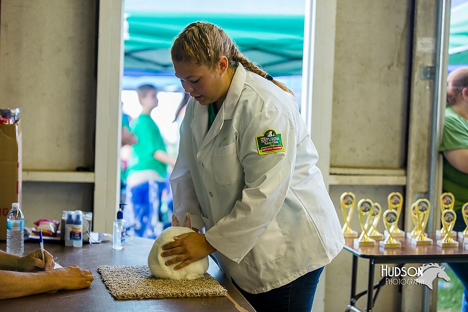 LCFair2016-0251.jpg