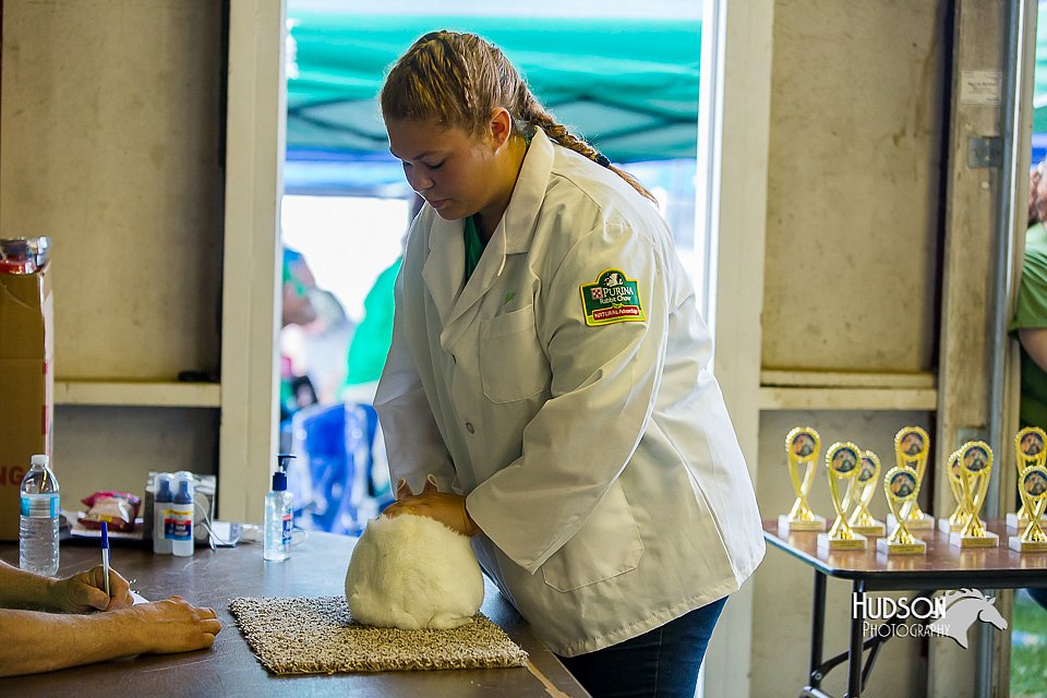 LCFair2016-0252.jpg