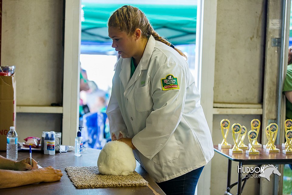 LCFair2016-0253.jpg