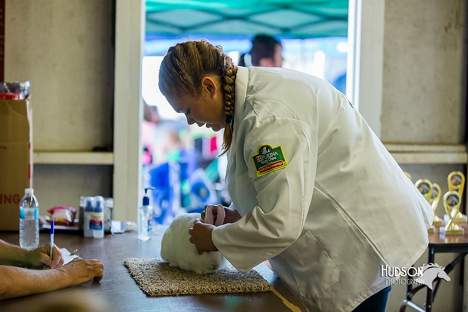LCFair2016-0255.jpg