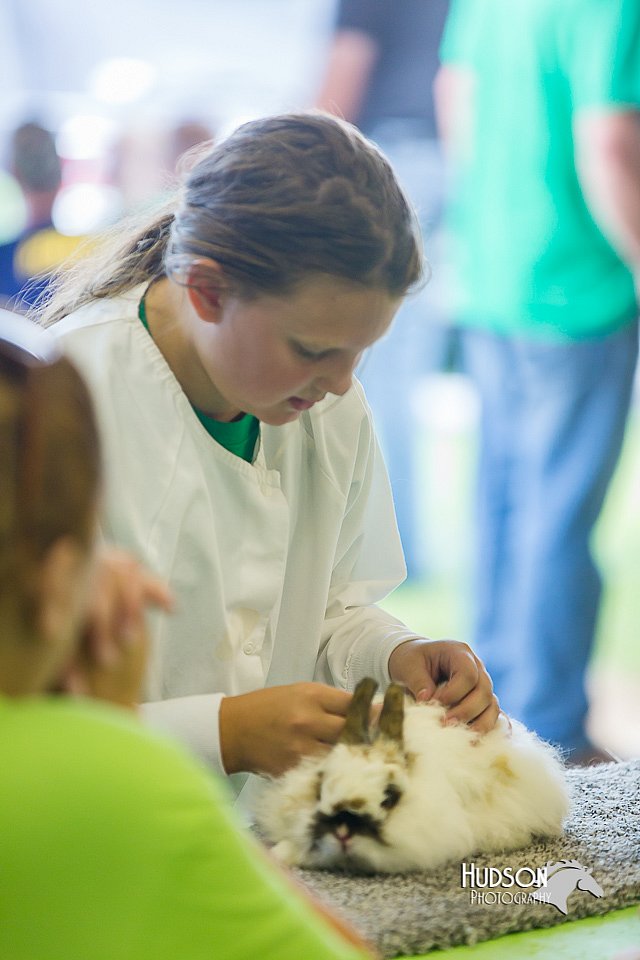 LCFair2016-0257.jpg