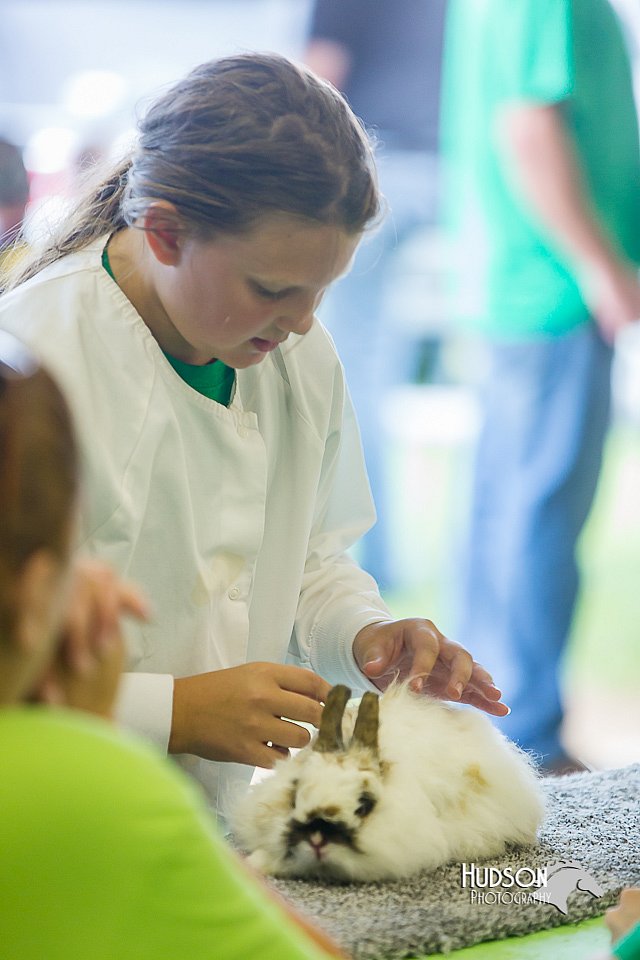 LCFair2016-0258.jpg