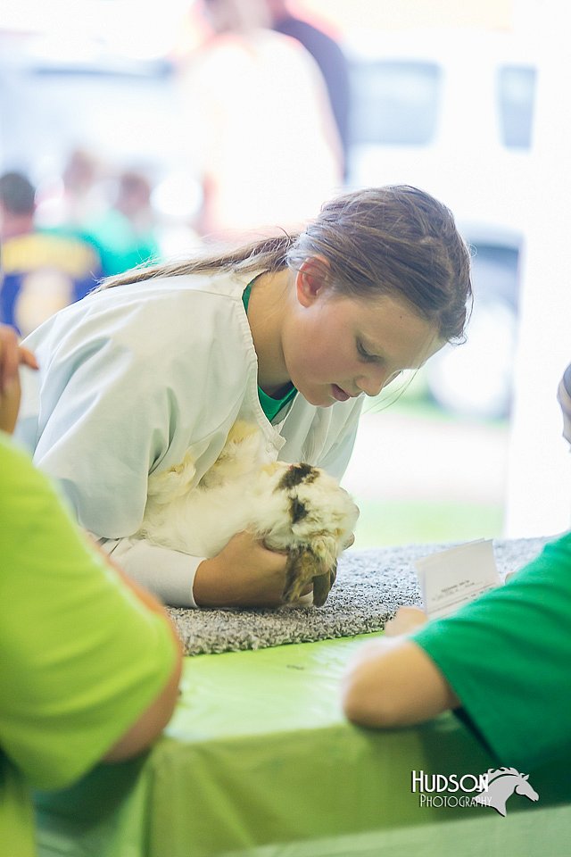 LCFair2016-0259.jpg