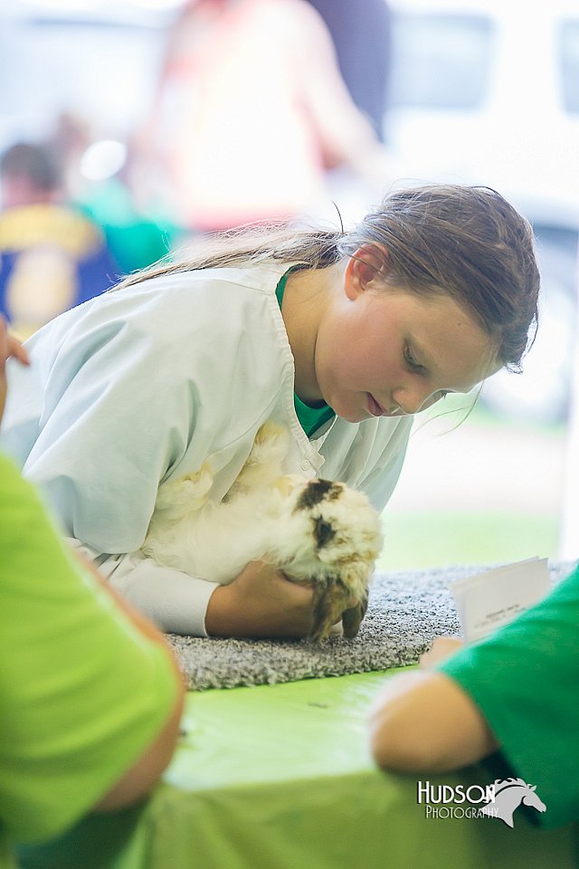 LCFair2016-0260.jpg