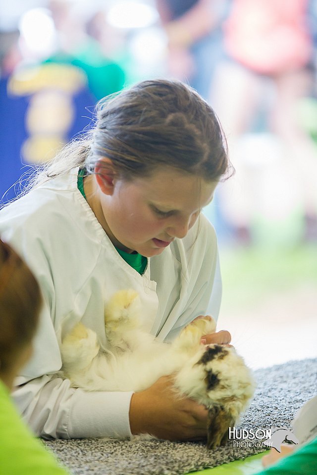 LCFair2016-0262.jpg