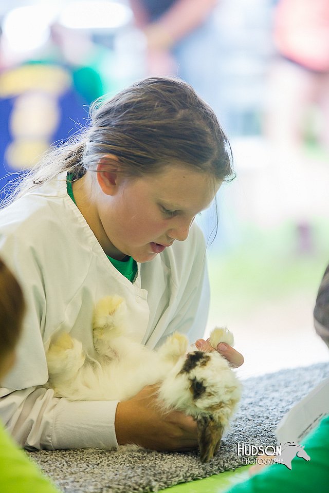 LCFair2016-0263.jpg