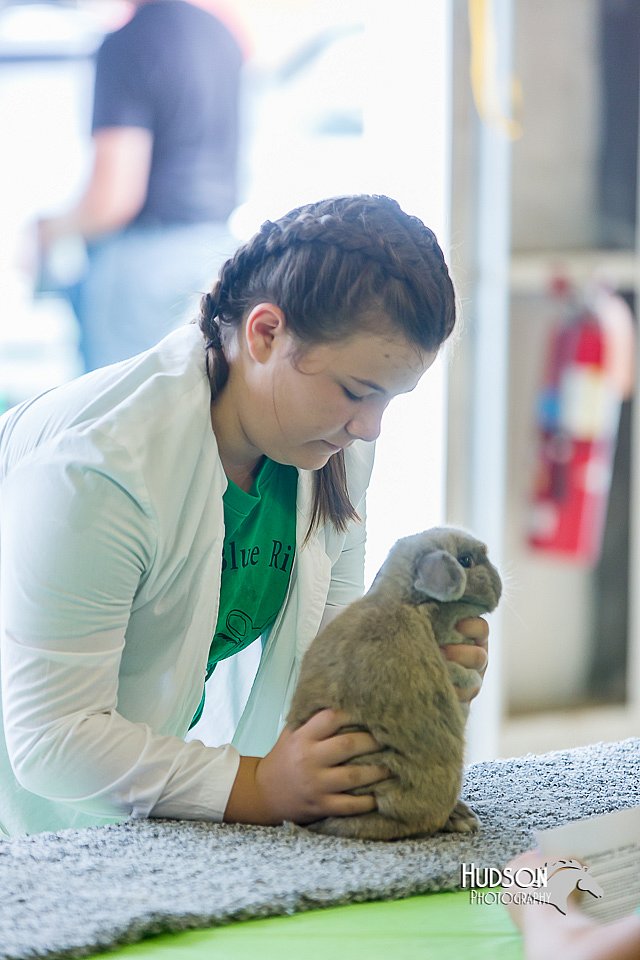 LCFair2016-0269.jpg