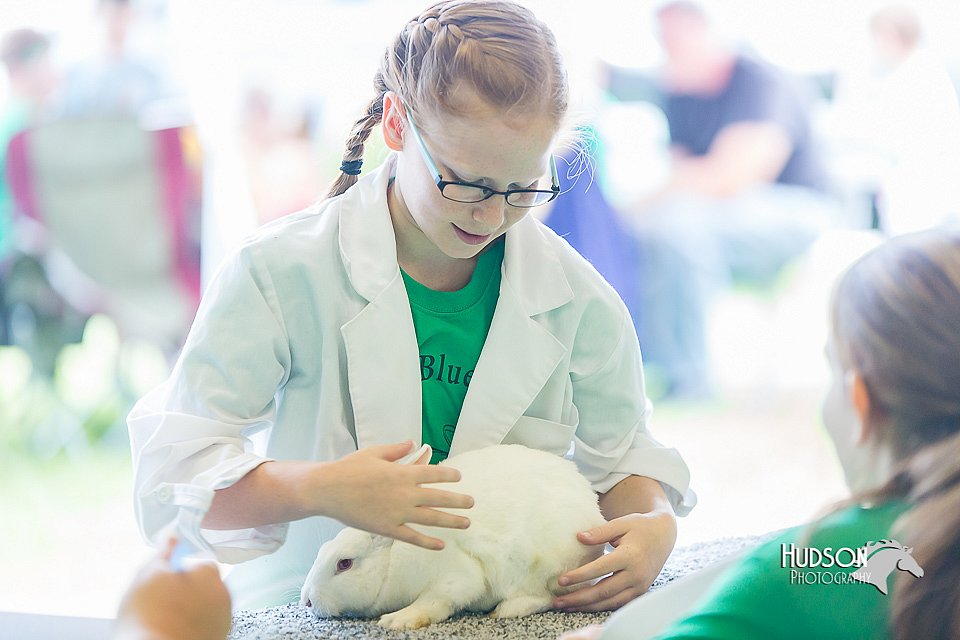 LCFair2016-0272.jpg