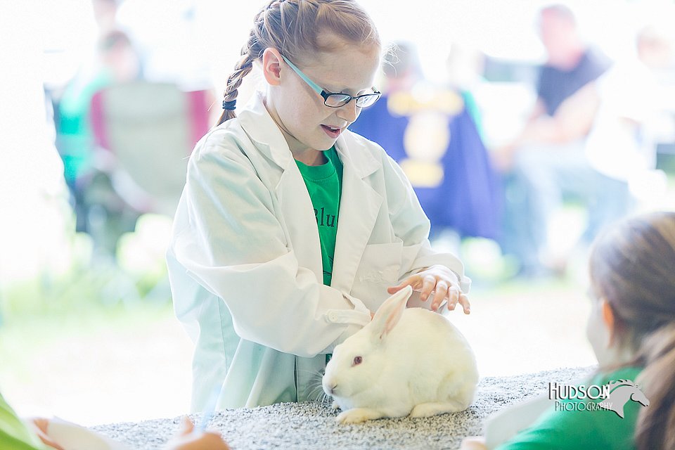 LCFair2016-0274.jpg