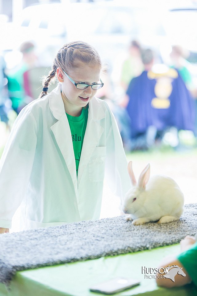 LCFair2016-0275.jpg