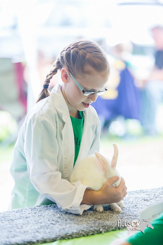 LCFair2016-0277.jpg