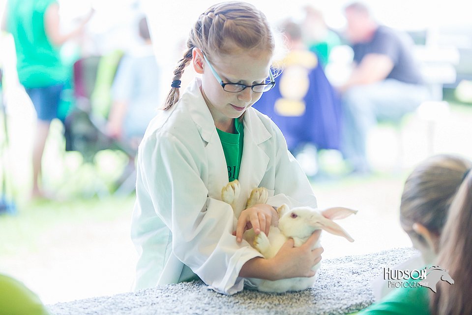 LCFair2016-0278.jpg