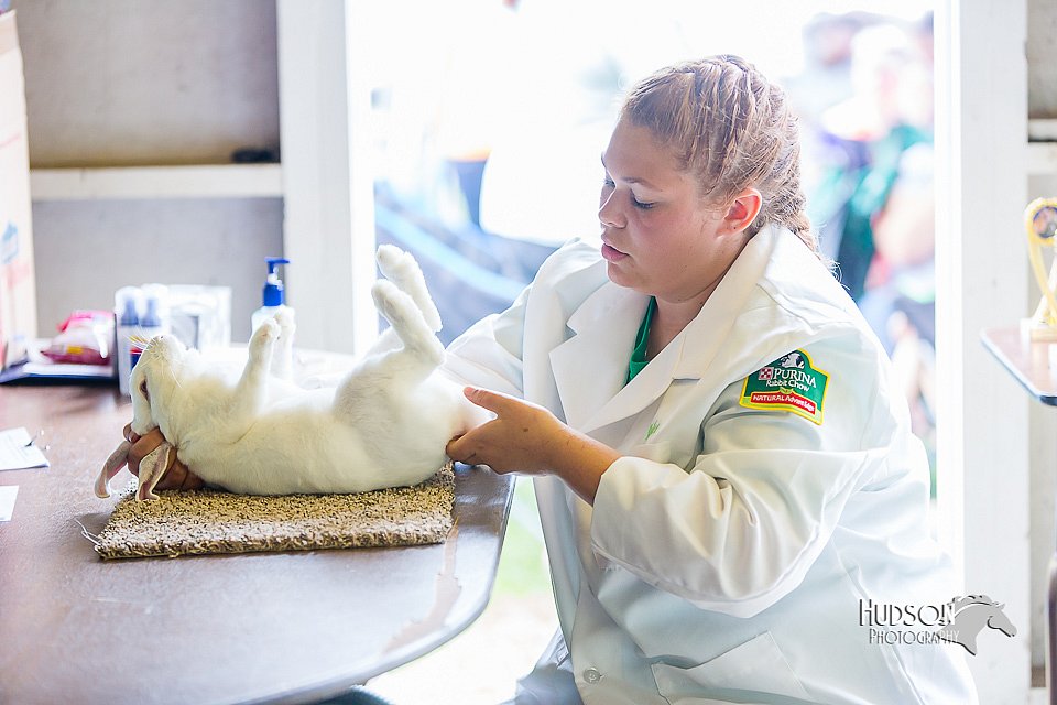 LCFair2016-0280.jpg