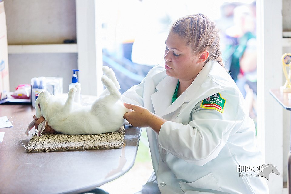 LCFair2016-0281.jpg