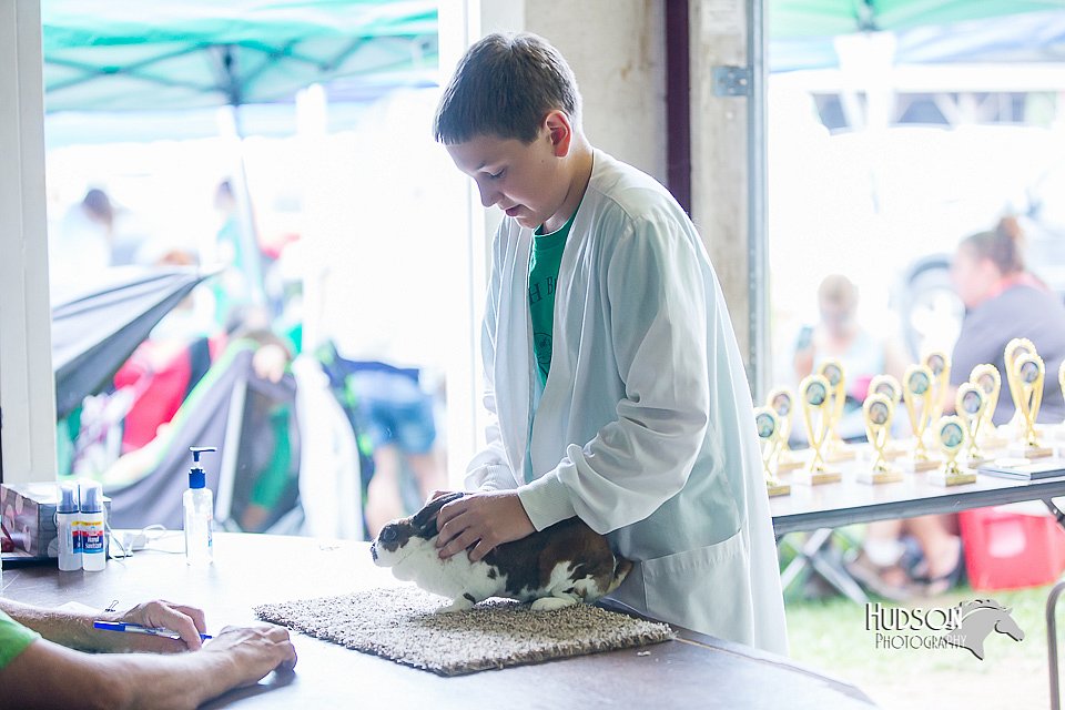LCFair2016-0286.jpg