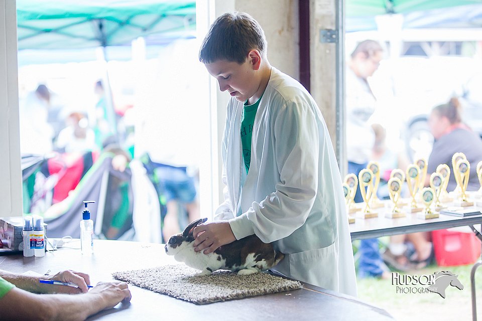 LCFair2016-0287.jpg