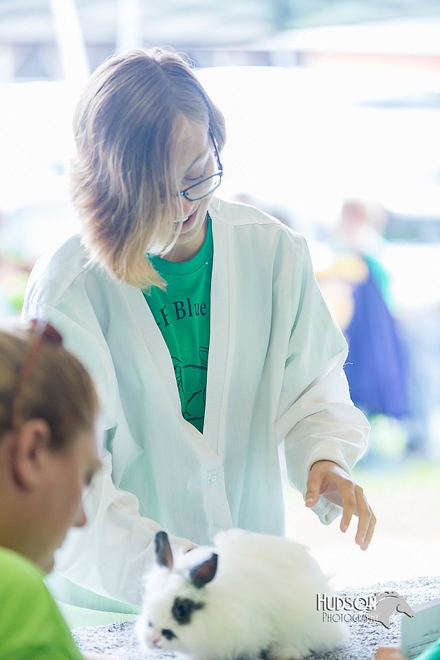 LCFair2016-0289.jpg