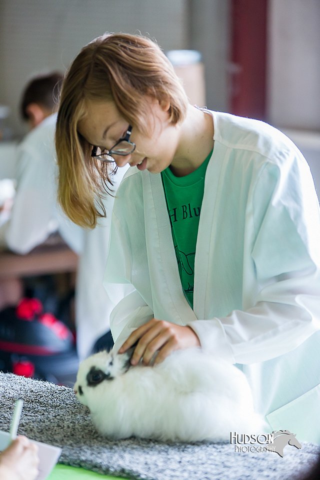 LCFair2016-0294.jpg