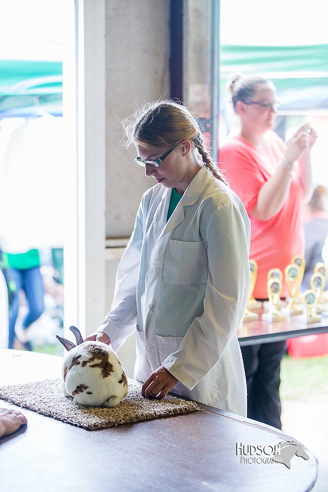 LCFair2016-0301.jpg
