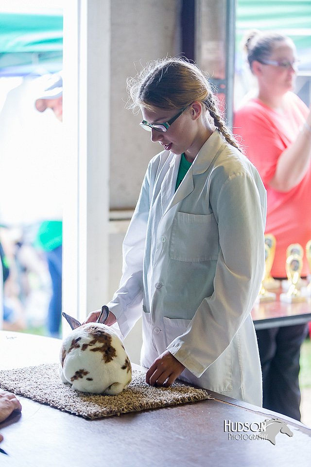 LCFair2016-0302.jpg