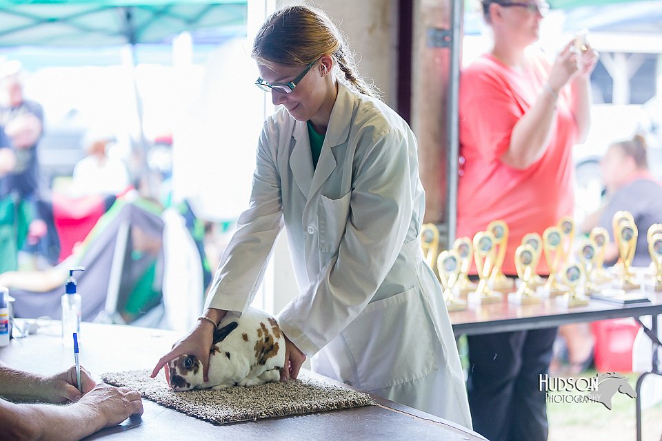 LCFair2016-0303.jpg