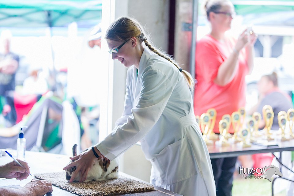 LCFair2016-0304.jpg