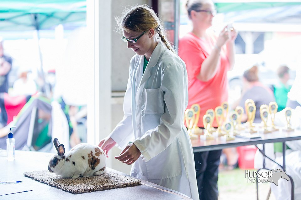 LCFair2016-0305.jpg