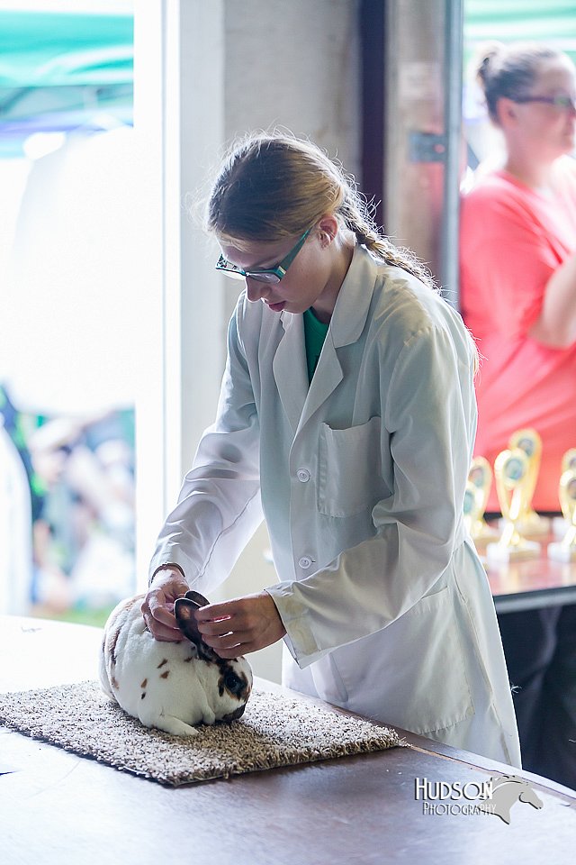 LCFair2016-0306.jpg
