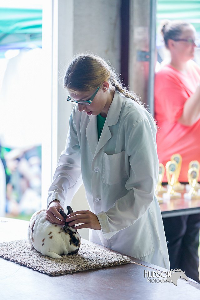LCFair2016-0307.jpg