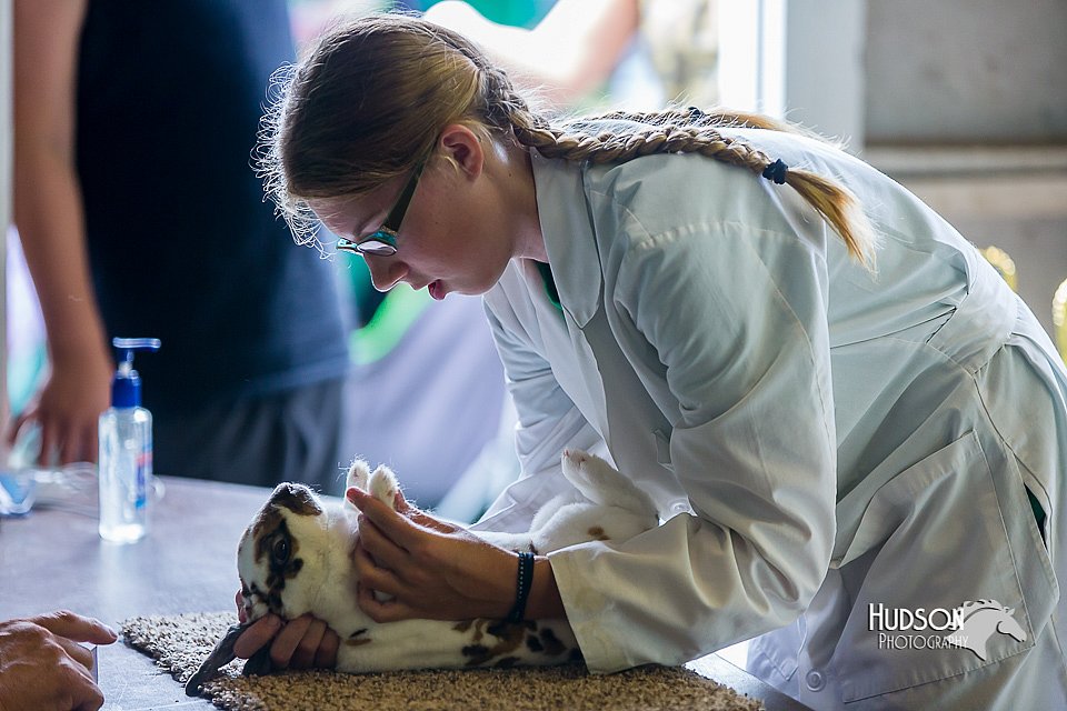 LCFair2016-0308.jpg