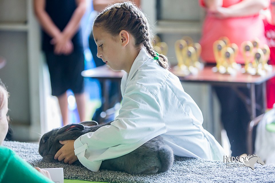 LCFair2016-0317.jpg