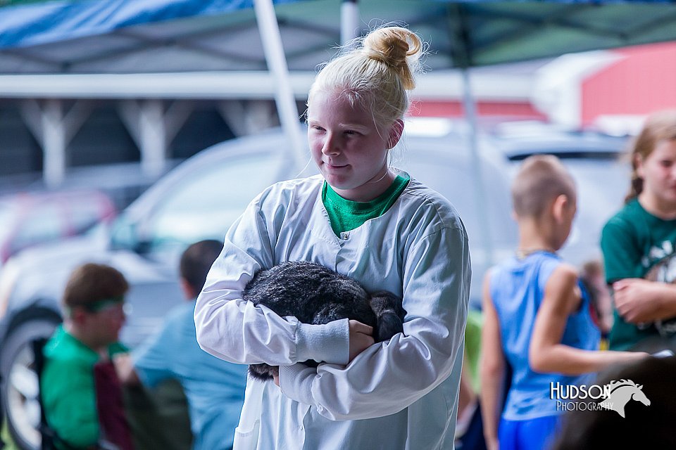 LCFair2016-0323.jpg