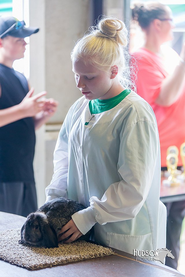 LCFair2016-0326.jpg